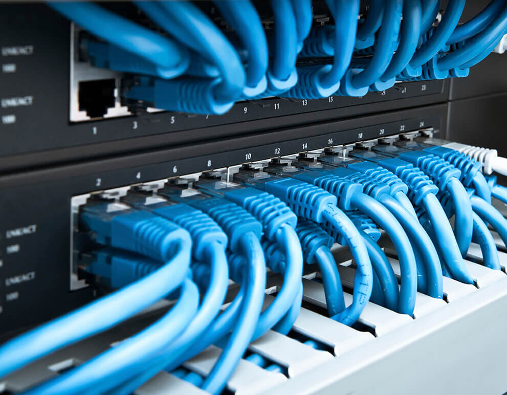 Eingesteckte blaue Netzwerkkabel