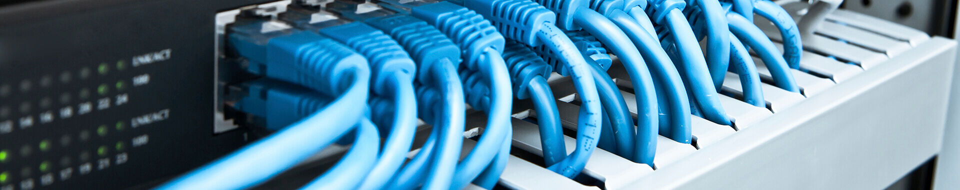 Eingesteckte blaue Netzwerkkabel